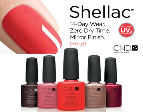 logo-shellac